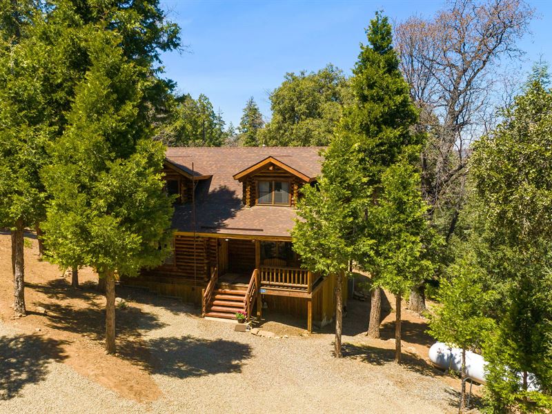 The Mountain Haven : Palomar Mountain : San Diego County : California