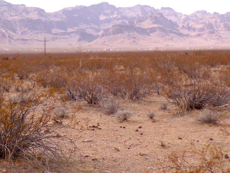 Build Home with Near Power & No HOA : Kingman : Mohave County : Arizona