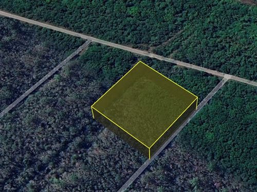 Big Land, Tiny Down $249 Down : Hastings : Flagler County : Florida