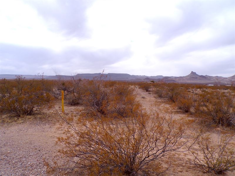 Corner Lot with Near Power & No HOA : Kingman : Mohave County : Arizona