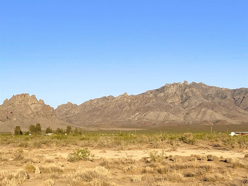 1.5 Acres for $125/Mo : Deming : Luna County : New Mexico