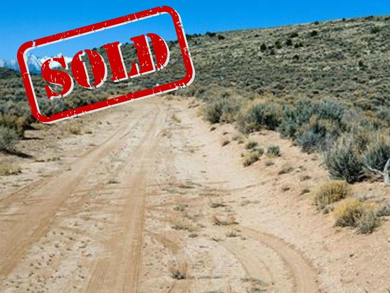 6.99 Acres Costilla Co : Alamosa : Costilla County : Colorado