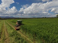 Arizona Farm Lot and Land for Sale : Saint David : Cochise County : Arizona