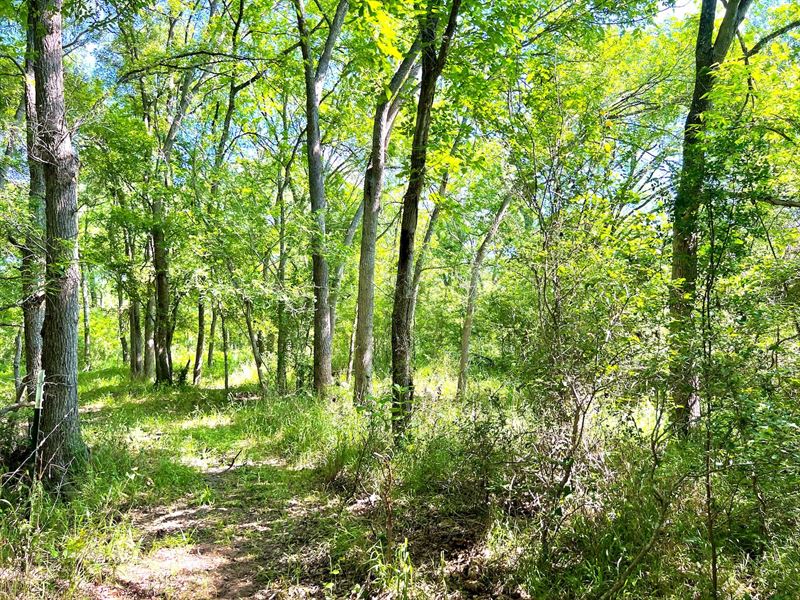 21+ Acres in Caldwell County, TX : Luling : Caldwell County : Texas
