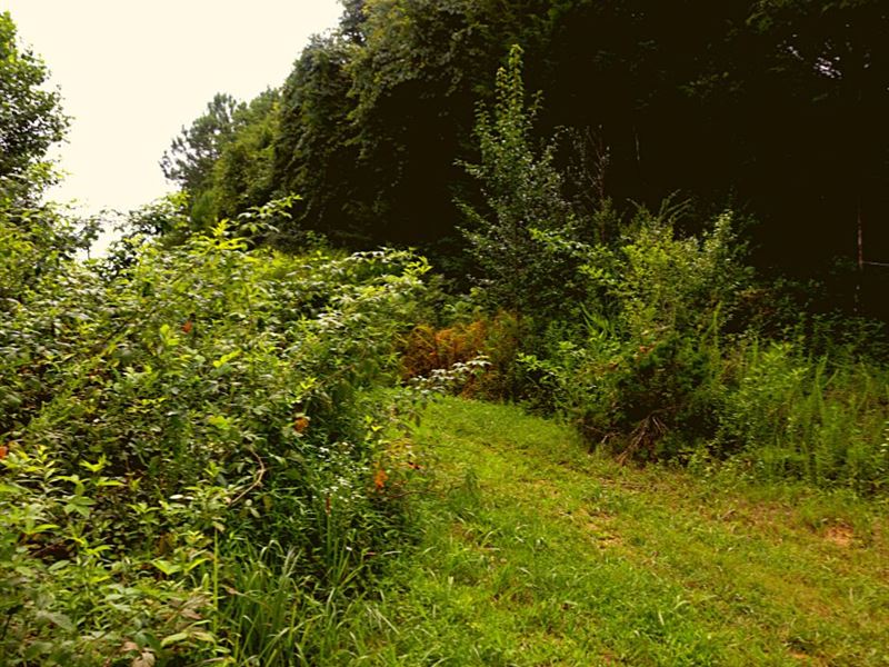 .87 Acres Only 8 Min to Pikeville : Pikeville : Bledsoe County : Tennessee