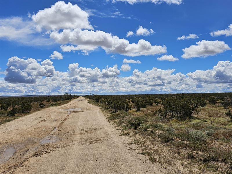 Investment Opportunity, $199/ Month : California City : Kern County : California