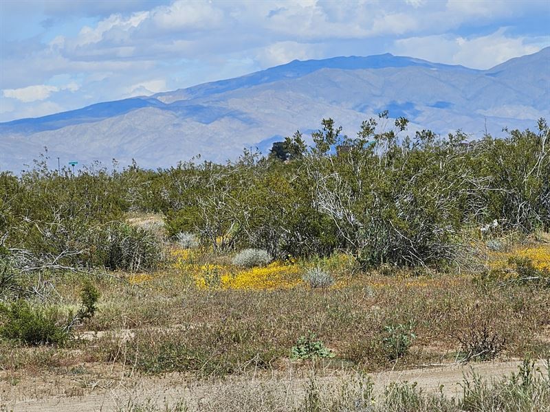 Investment Opportunity, $199/ Month : California City : Kern County : California
