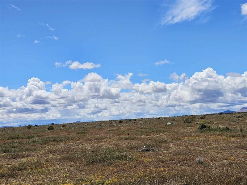 North Edwards, Cali Lot, $4,995 : North Edwards : Kern County : California