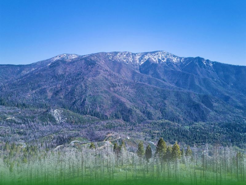 4.58 Acres in Springville, CA : Springville : Tulare County : California
