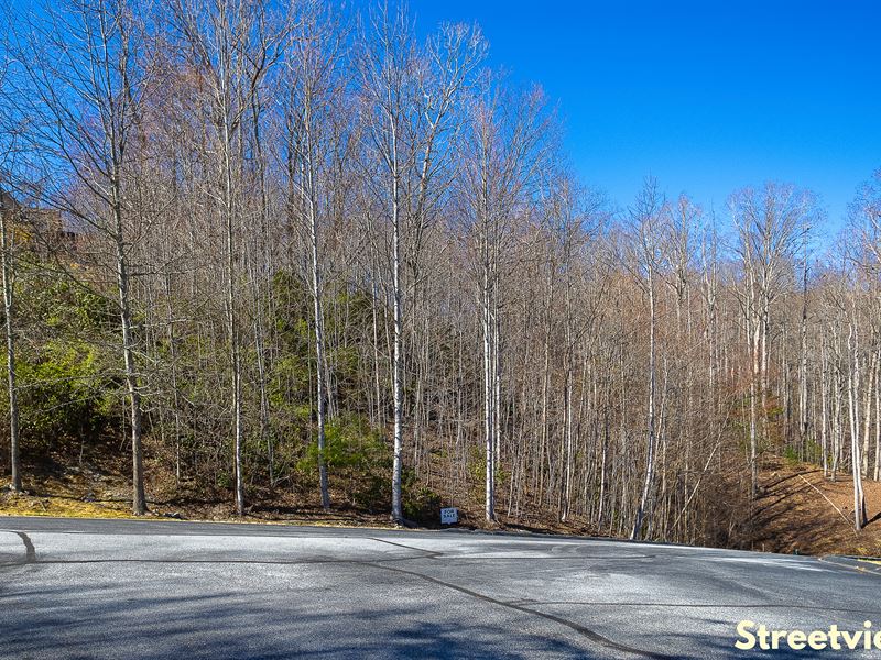 Prime Lot in Hendersonville, NC : Hendersonville : Henderson County : North Carolina