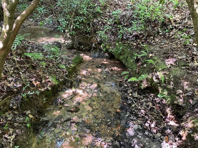 23.53 Acres, Tract 7 : Tamassee : Oconee County : South Carolina