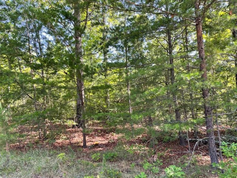 10.6 Acres, Tract 6 On Whitewa : Tamassee : Oconee County : South Carolina