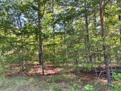 10.6 Acres, Tract 6 on Whitewa : Tamassee : Oconee County : South Carolina