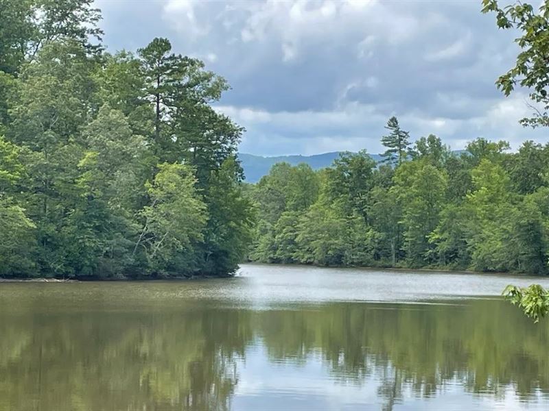 51.65 Acres, Tract 5 On O'shea : Tamassee : Oconee County : South Carolina