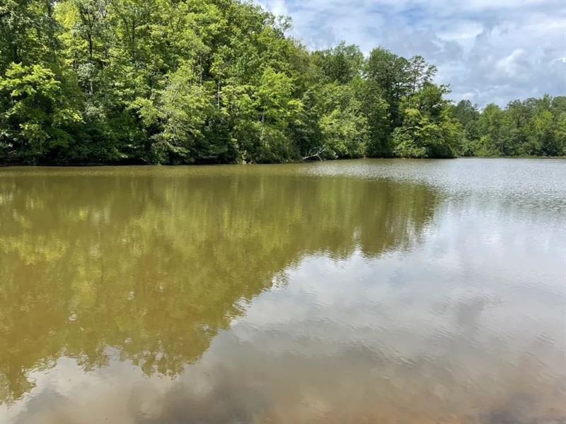 31.25 Acres Tract 3 On Easy Str : Tamassee : Oconee County : South Carolina
