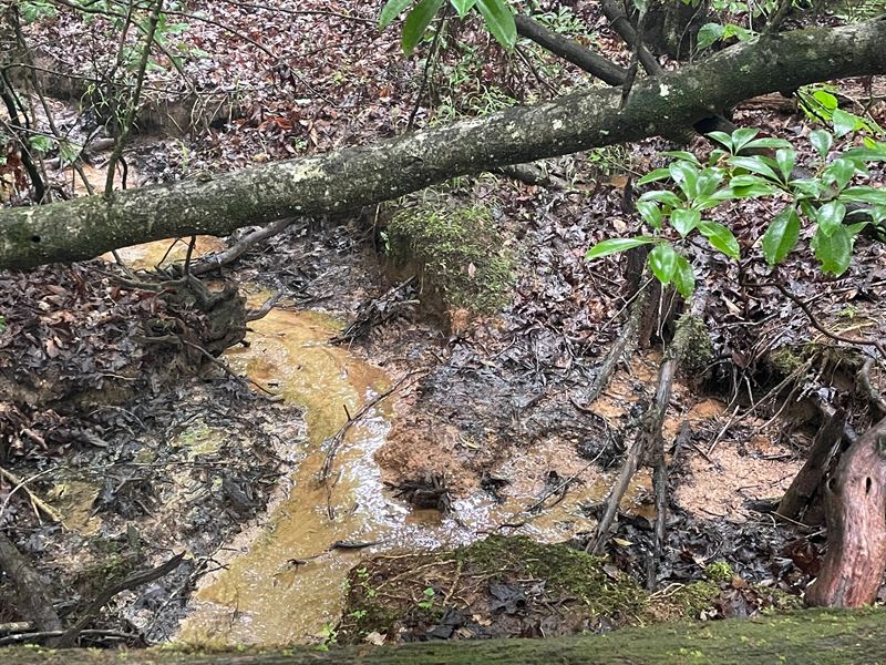 31 Acres, Tract 1 On N Litt : Tamassee : Oconee County : South Carolina