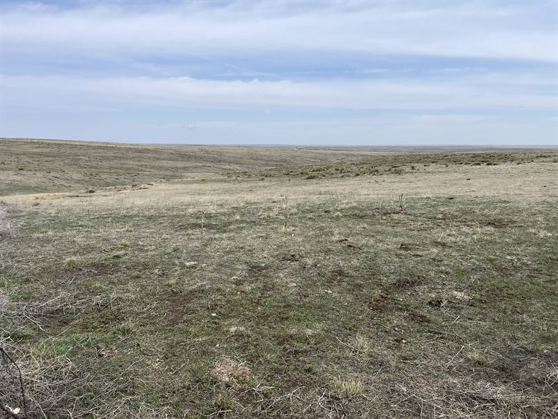 Deer Trail 70 : Deer Trail : Elbert County : Colorado