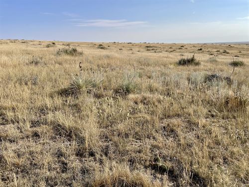 Deer Trail 97 : Deer Trail : Elbert County : Colorado