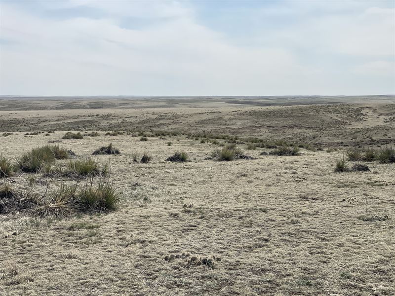 Deer Trail 97 : Deer Trail : Elbert County : Colorado