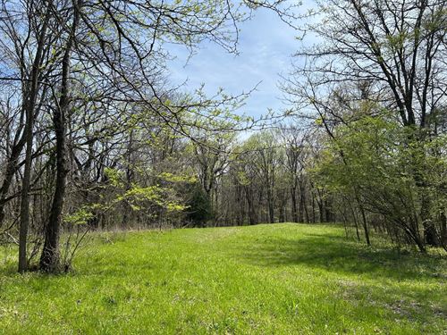 240-Acre Hunter's Paradise With Pon : Crenshaw : Panola County : Mississippi