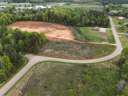 5 Star Road 1.25 Ac : Pontotoc : Mississippi