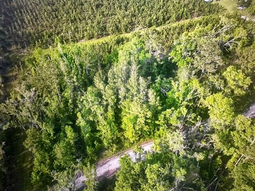 1-Acre on Rue Drive : Pinetta : Madison County : Florida