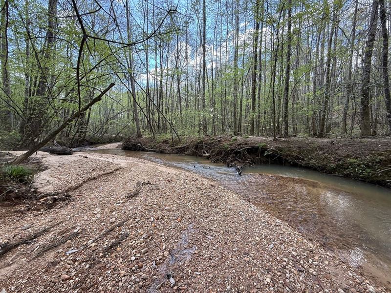 McKay Branch 52 : Guin : Marion County : Alabama
