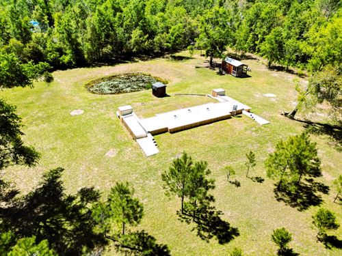 Bunker on 2.49 AC : Jennings : Hamilton County : Florida