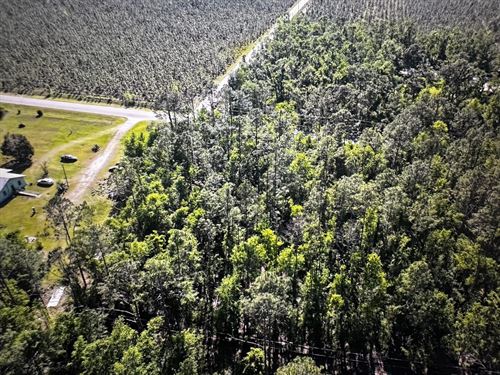 2-Acres on Apache Avenue : Lee : Madison County : Florida