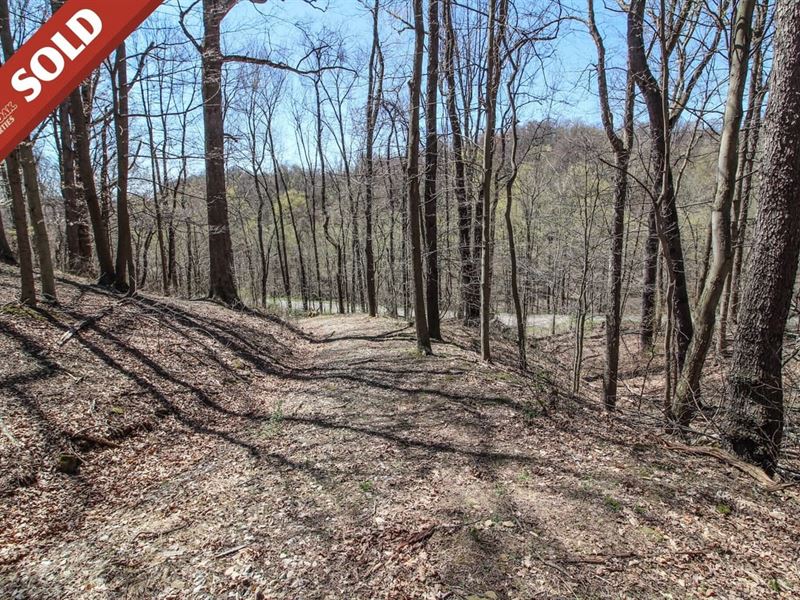 Mercer Rd, 2 Acres, Belmont Count : Saint Clairsville : Belmont County : Ohio