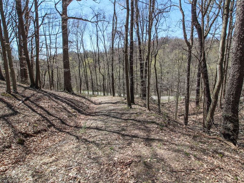 Mercer Rd, 2 Acres, Belmont Count : Saint Clairsville : Belmont County : Ohio