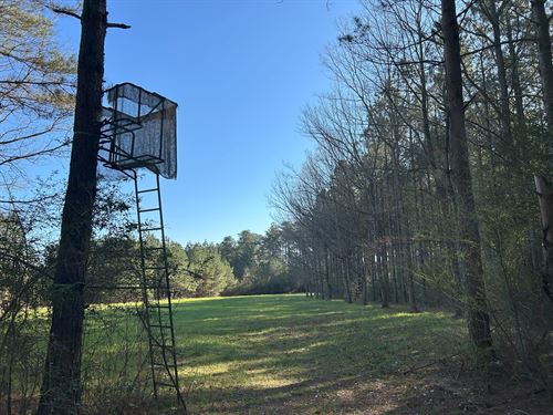Magee Pine Investment/Residential : Magee : Simpson County : Mississippi