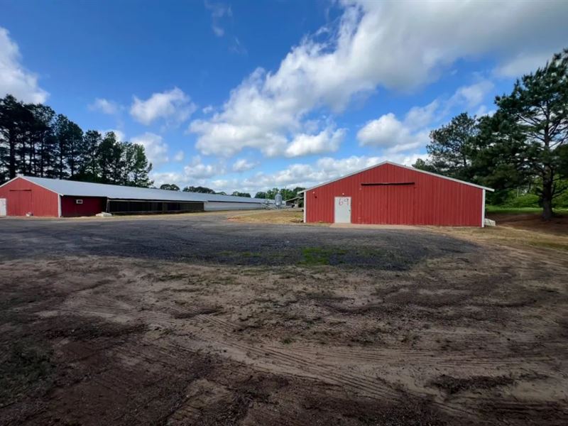Louisiana Poultry Breeder Farm On 1 : Shongaloo : Webster Parish : Louisiana