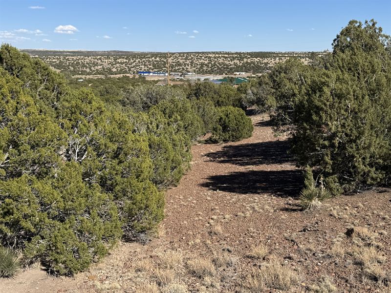 Build Atop Hill with Stunning Views : Concho : Apache County : Arizona