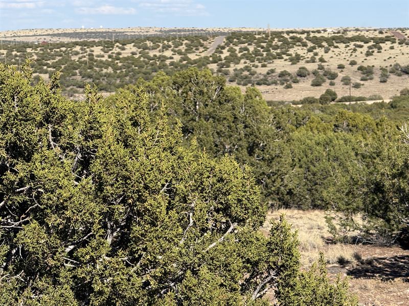 2.5 Acre Double Lot in Town : Concho : Apache County : Arizona