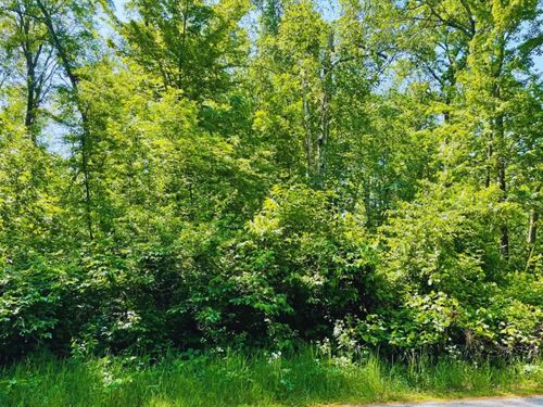 Year-Round RV Camping $175/Mo : Garrison : Mille Lacs County : Minnesota