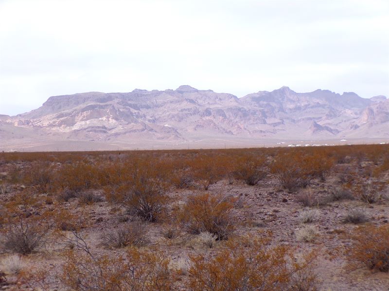 Off Road Adventure with Hiking & RV : Kingman : Mohave County : Arizona