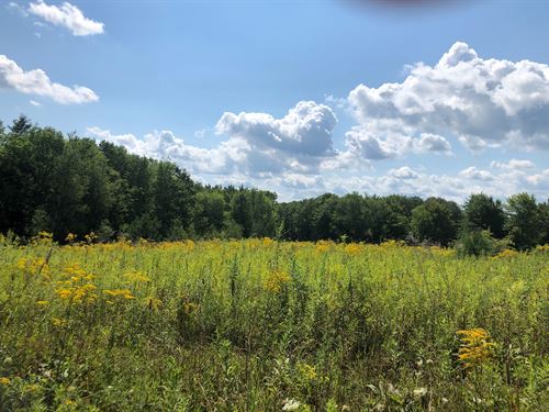 Oak Meadows : Harford : Cortland County : New York