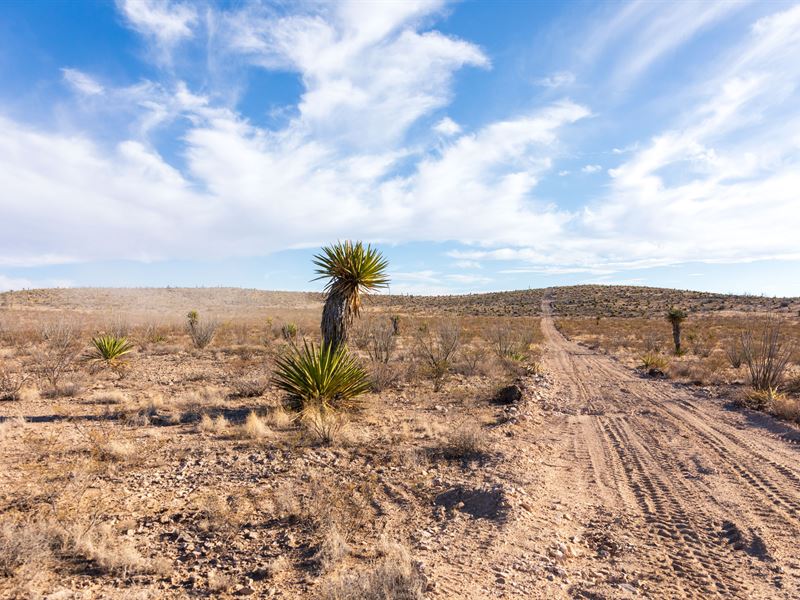 Just $999 Down, Large Investment : Sierra Blanca : Hudspeth County : Texas