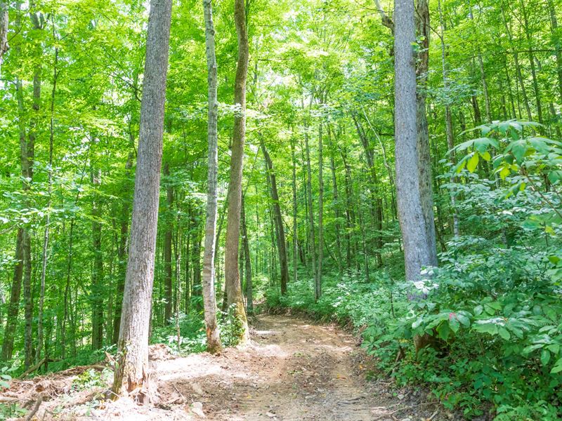 $999 Down Near The River : McKee : Jackson County : Kentucky