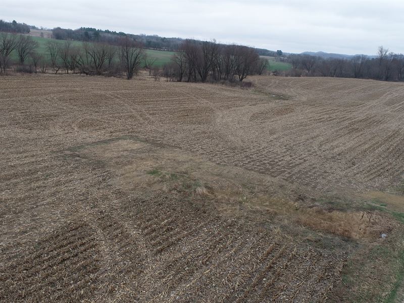 17 Acres Buffalo County : Mondovi : Buffalo County : Wisconsin