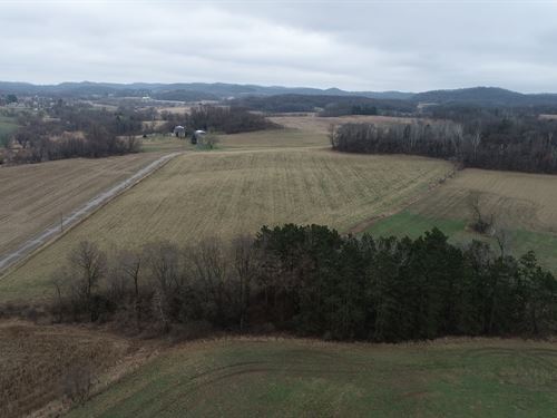 20 Acres Buffalo County : Mondovi : Buffalo County : Wisconsin