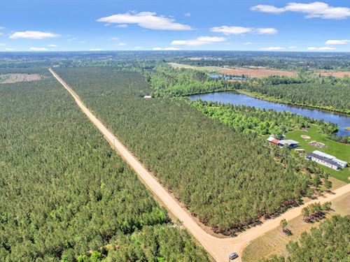 Tract 3 in Ocelot Road : Alma : Bacon County : Georgia