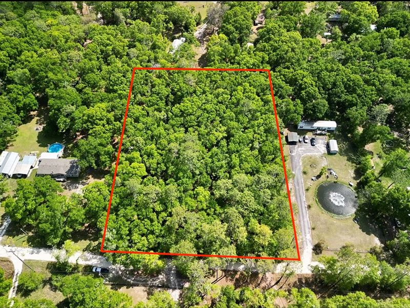 Prime 1.88 Acres Near Trenton, FL : Trenton : Gilchrist County : Florida