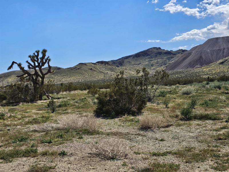 2 Cali Lots Only $4,975, $199/Mo : Goldtown : Kern County : California