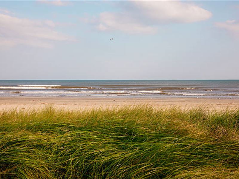 Magnolia Ocean View, $349 Per Month : Magnolia : Calhoun County : Texas