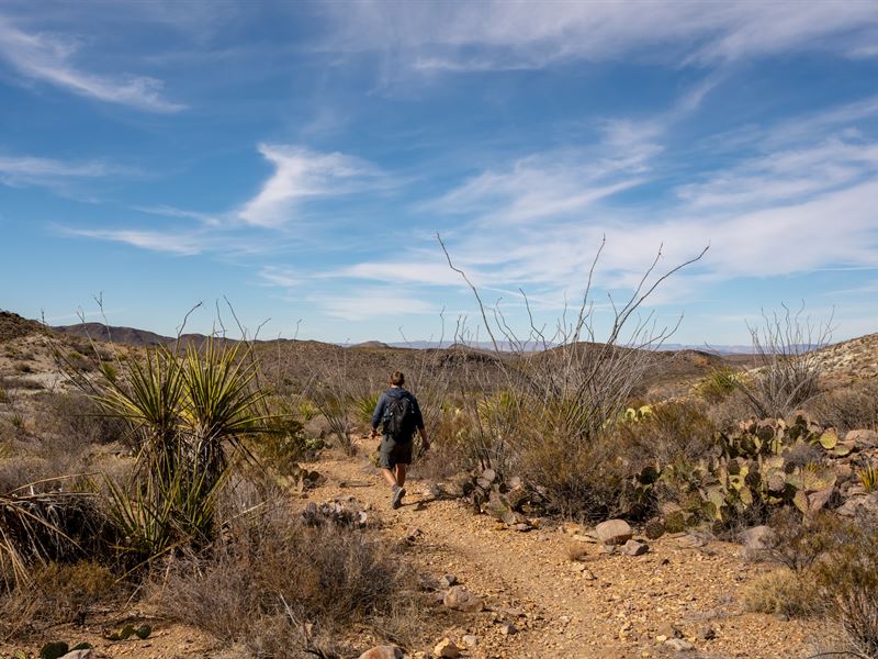 2 Socal Lots Bundled, $289/Month : Goldtown : Kern County : California