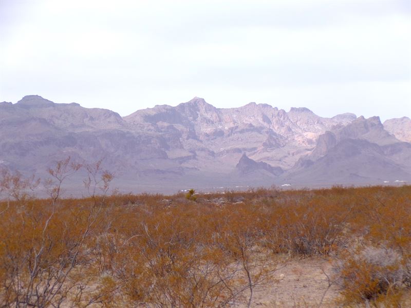 Corner Lot for Off-Road Adventures : Kingman : Mohave County : Arizona