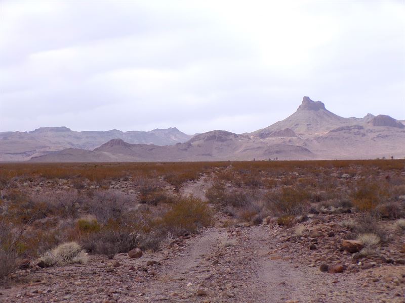 Gem for Off-Road Enthusiast, No HOA : Kingman : Mohave County : Arizona