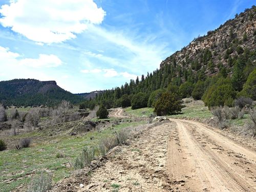 80 Acres in Lumberton, New Mexico : Lumberton : Rio Arriba County : New Mexico